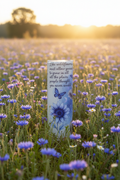 Like Wildflowers 20 oz skinny tumbler with blue watercolor Highland cow, blue bow, sunflowers, wildflowers and butterflies